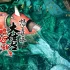 【5.05】PS4游戏《怒首领蜂大往生临回转生 DoDonPachi DAI-OU-JOU Re incarnation》中文版PKG下载