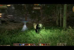 埃伦加德：升天/Elengard: Ascension