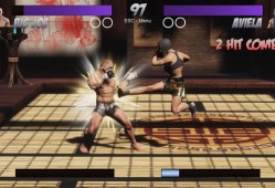 暴拳:报应 Raging Fists: Retribution 单机游戏英文版下载