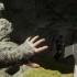 【5.05】PS《森林 The Forest》英文版下载【含1.15补丁】