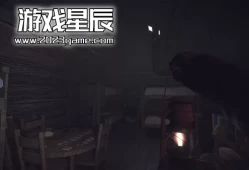 单机游戏《科纳风暴 KONA》中文版下载v10519415